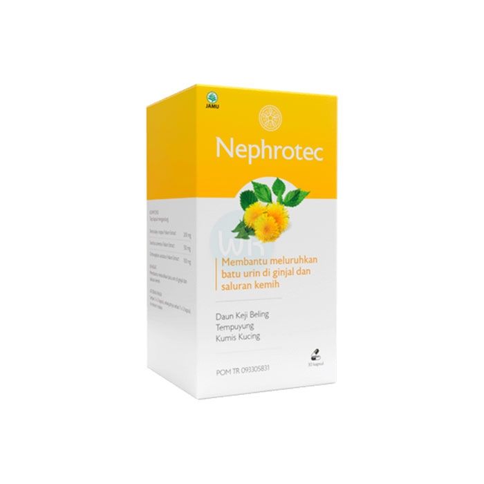 ⟦ Nephrotec ⟧ - kidney stone capsules