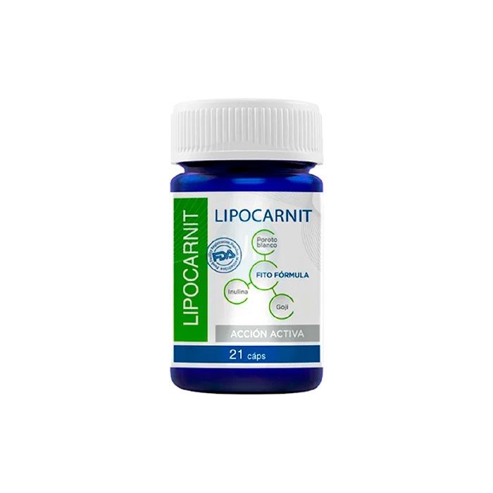 ⟦ Lipocarnit ⟧ - weight regulator