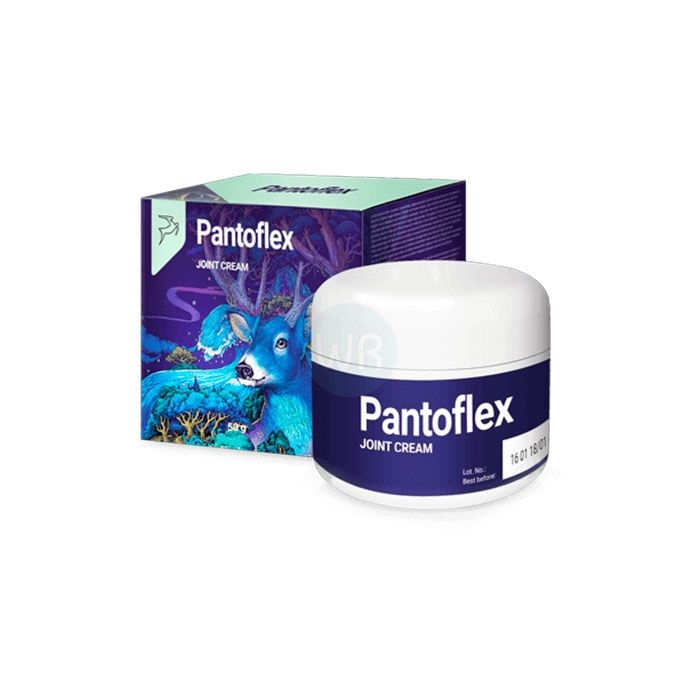 ⟦ Pantoflex ⟧ - cream for joints